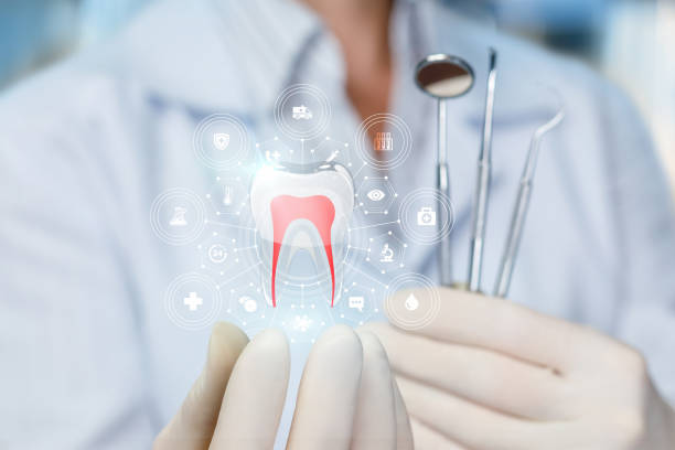 Best Preventive Dentistry  in New York Mills, MN